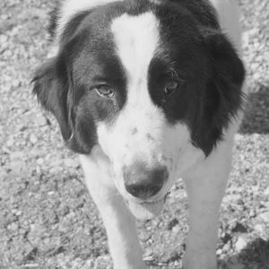 Meet your Posher, Chloe